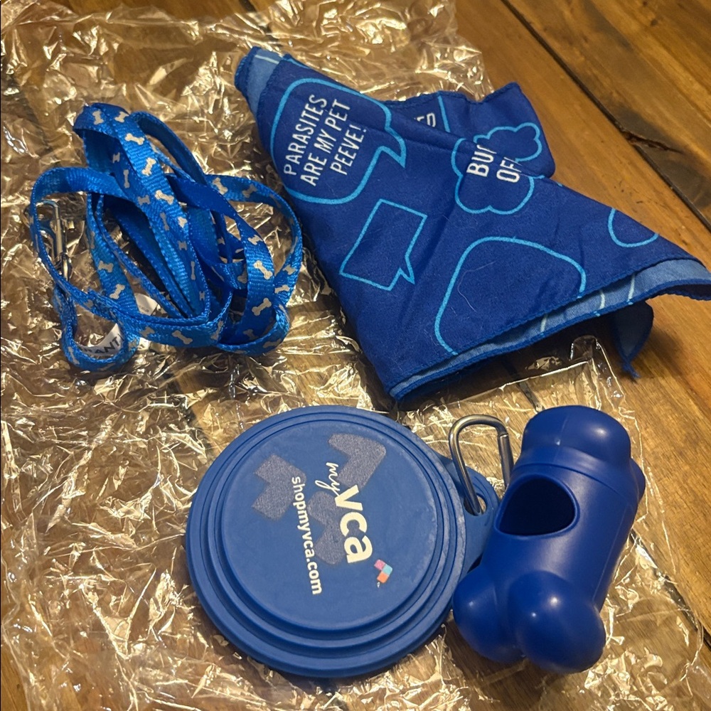 Vibrant Blue Dog Bandana and Leash set 4